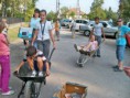 /album/fenykepgaleria/papirgyujtes-009-jpg/